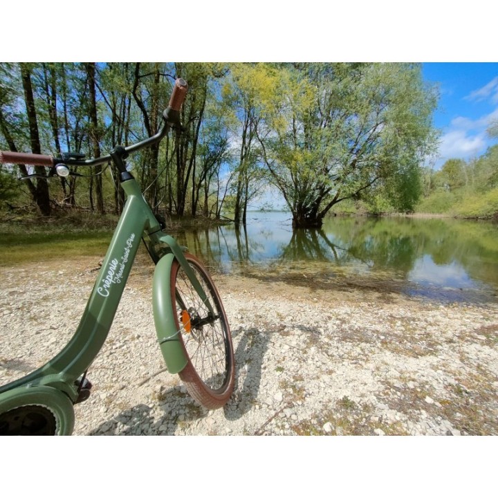 Vélo électrique Journée